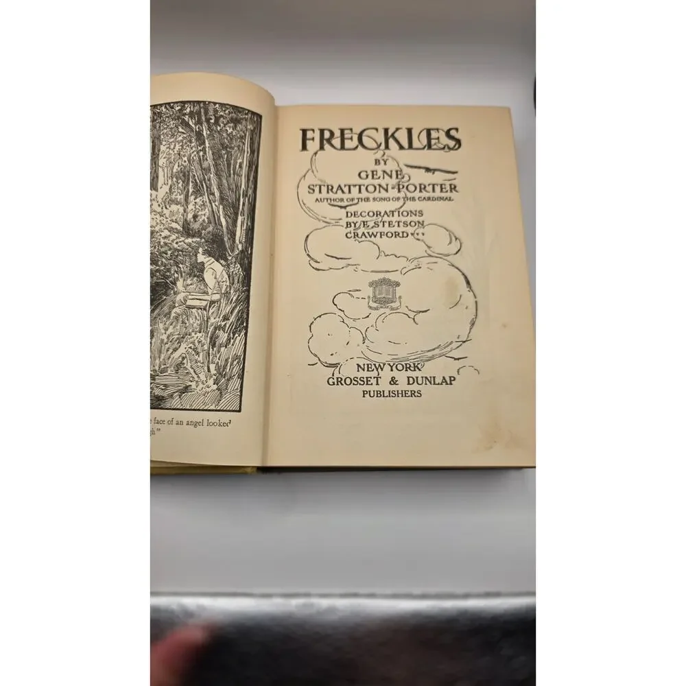 Vintage Hardcover FRECKLES by Gene Stratton-Porter, Illustrated 1904